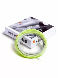 Guideline 4-Cast WF F/S3