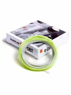 Guideline 4-Cast WF F/S5