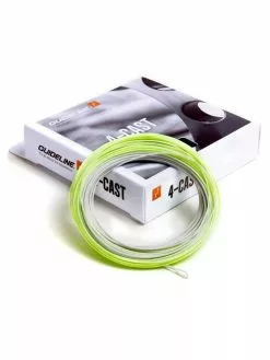 Guideline 4-Cast WF F/S1