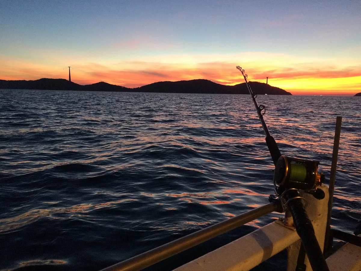 Fliegenruten Elegant magasin 25 Fliegenruten Elegant magasin -Fliegenruten Elegant magasin 66