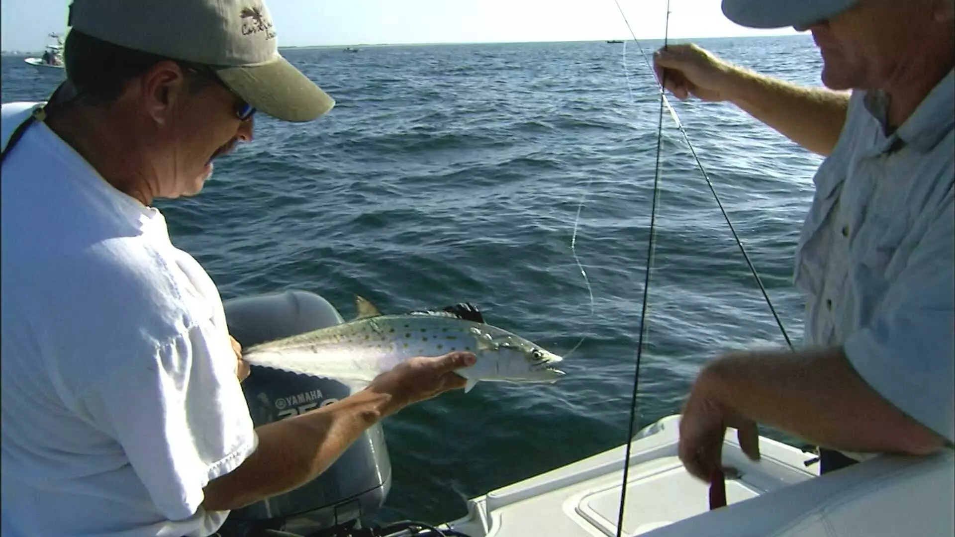 Fliegenruten Elegant magasin 1 Fliegenruten Elegant magasin -Fliegenruten Elegant magasin 69