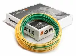 Guideline Coastal Evolve WF Fast Intermediate Fliegenschnur