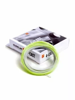 Guideline 4-Cast WF-F