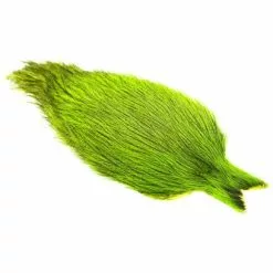 K&HD Fishing Supplies Whiting Coq De Leon Cape -Fliegenruten Elegant magasin Whiting 20rooster 20 20Coq 20de 20leon 20Badger 20 20Chartreuse