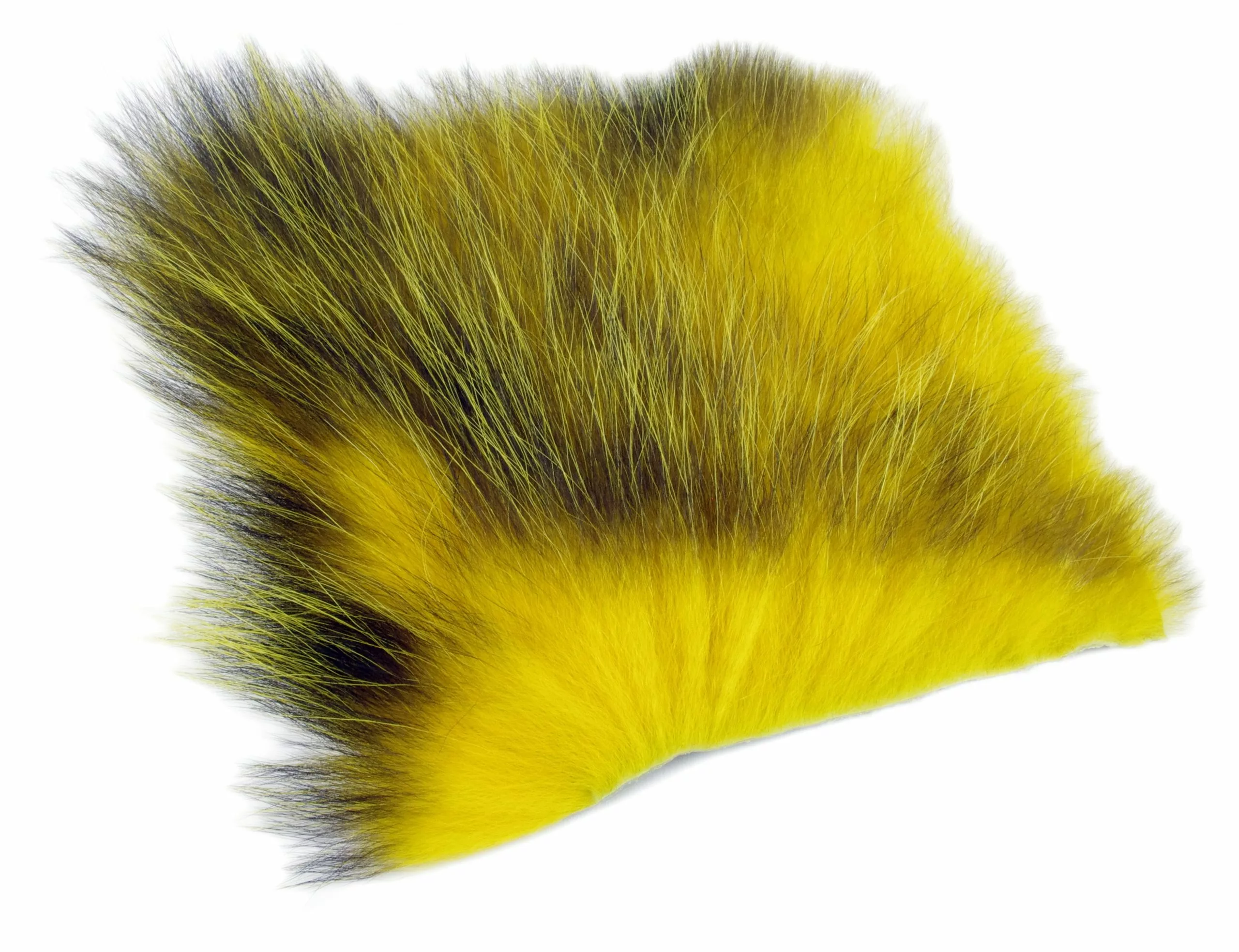 Future Fly American Opossum 4 Future Fly American Opossum – Bild 2