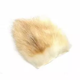 Future Fly American Opossum 6 Future Fly American Opossum – Bild 4