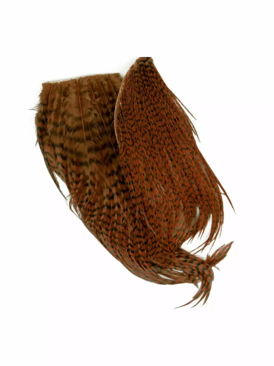 Whiting Bugger Pack 17 Whiting Bugger Pack – Bild 15