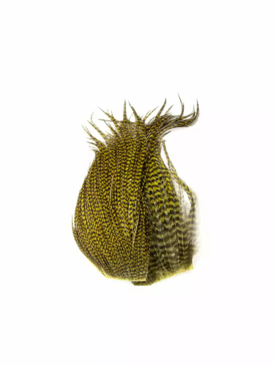 Whiting Bugger Pack 18 Whiting Bugger Pack – Bild 16