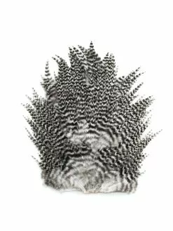 Whiting Feathermaster 4B Rooster Saddle -Fliegenruten Elegant magasin frathermaster saddle grizzly