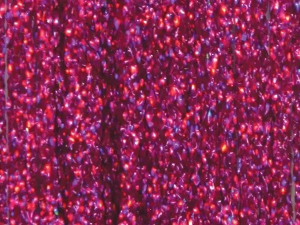 Frödin Flies SSS Holo Braid 5 Frödin Flies SSS Holo Braid – Bild 3