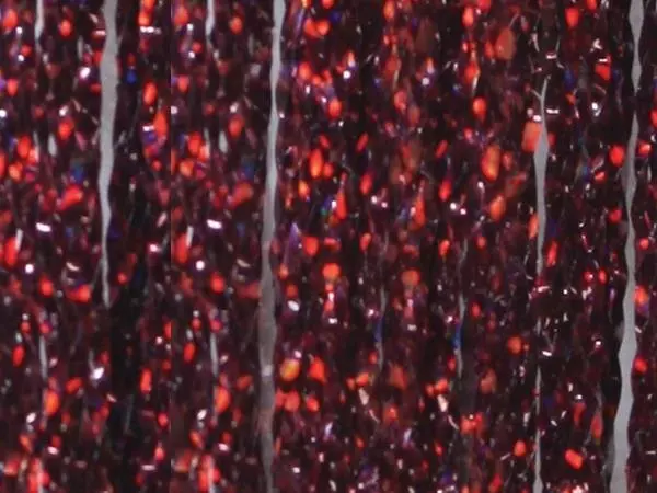 Frödin Flies SSS Holo Braid 11 Frödin Flies SSS Holo Braid – Bild 9