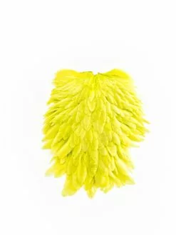 FUTURE FLY Signature Hen Saddle 14 FUTURE FLY Signature Hen Saddle -Fliegenruten Elegant magasin futurefly signature hen saddle yellow chartreuse