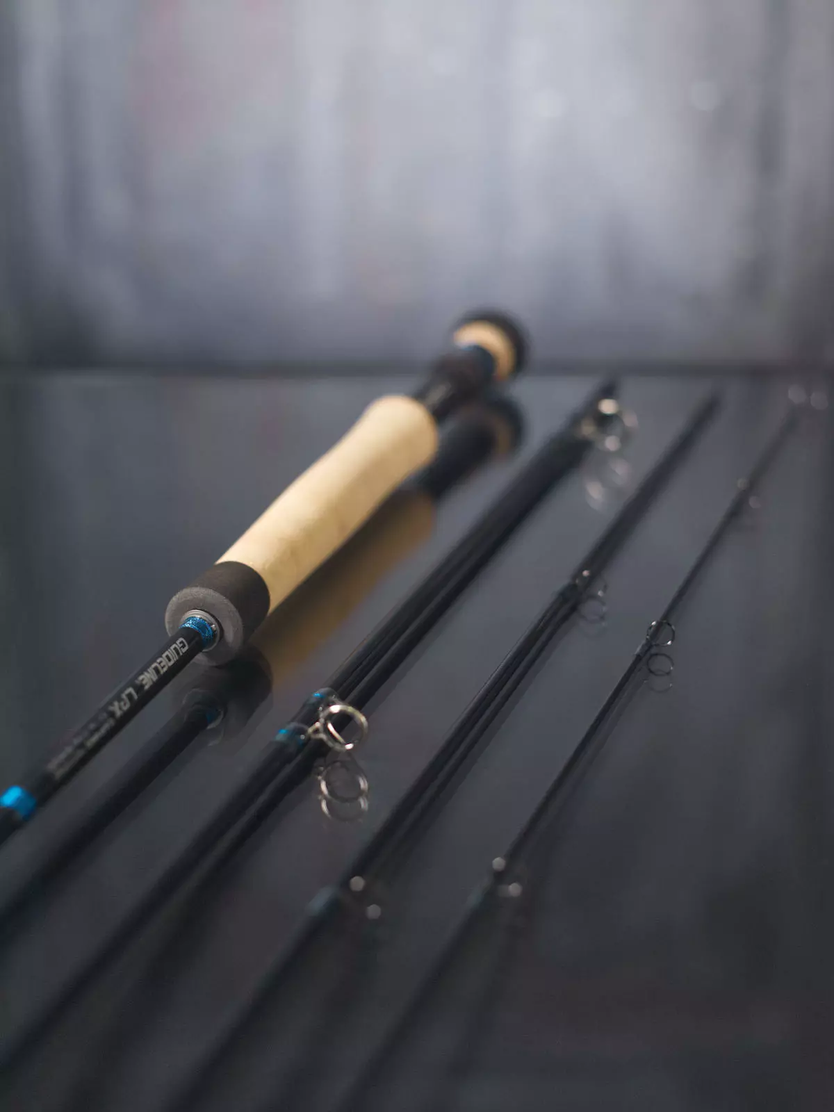 Guideline LPX Coastal Fliegenrute 4 Guideline LPX Coastal Fliegenrute – Bild 2