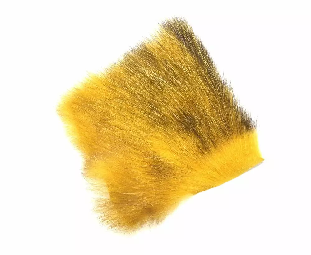 Future Fly American Opossum 10 Future Fly American Opossum – Bild 8