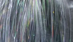 Hedron Flashabou -Fliegenruten Elegant magasin lS6890Xo 1