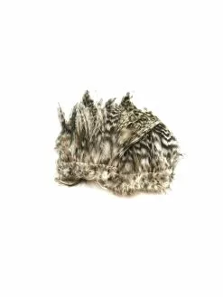 Wapsi Barred Neck Hackle -Fliegenruten Elegant magasin neck hackle barred natural