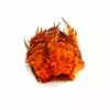 Wapsi Barred Neck Hackle -Fliegenruten Elegant magasin neck hackle barred orange 1