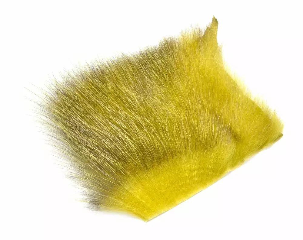 Future Fly American Opossum 12 Future Fly American Opossum – Bild 10