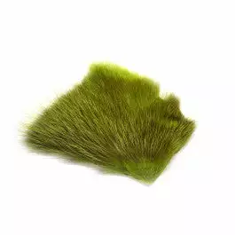 Future Fly American Opossum 14 Future Fly American Opossum – Bild 12