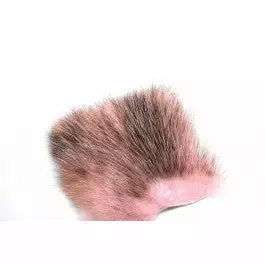 Future Fly American Opossum 24 Future Fly American Opossum – Bild 22