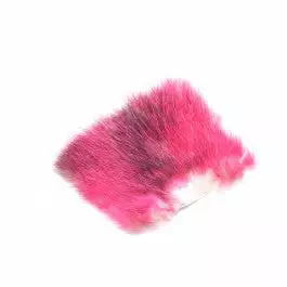 Future Fly American Opossum 32 Future Fly American Opossum – Bild 30