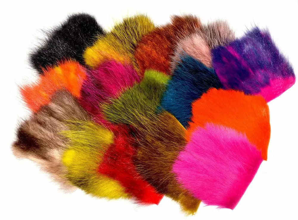 Future Fly American Opossum 3 Future Fly American Opossum