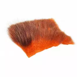 Future Fly American Opossum 34 Future Fly American Opossum – Bild 32