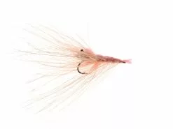 K&HD Pattegrisen Salmon