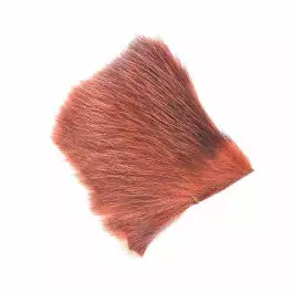 Future Fly American Opossum 35 Future Fly American Opossum – Bild 33