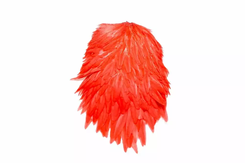 FUTURE FLY Signature Hen Saddle 12 FUTURE FLY Signature Hen Saddle – Bild 10