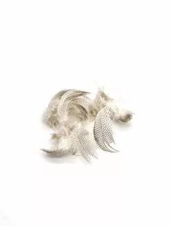 Wapsi Mallard Flank Feathers 8 Wapsi Mallard Flank Feathers -Fliegenruten Elegant magasin wapsi mallard flank natural