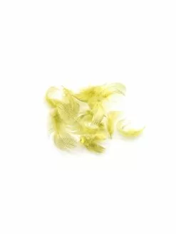 Wapsi Mallard Flank Feathers 11 Wapsi Mallard Flank Feathers -Fliegenruten Elegant magasin wapsi mallard flank yellow