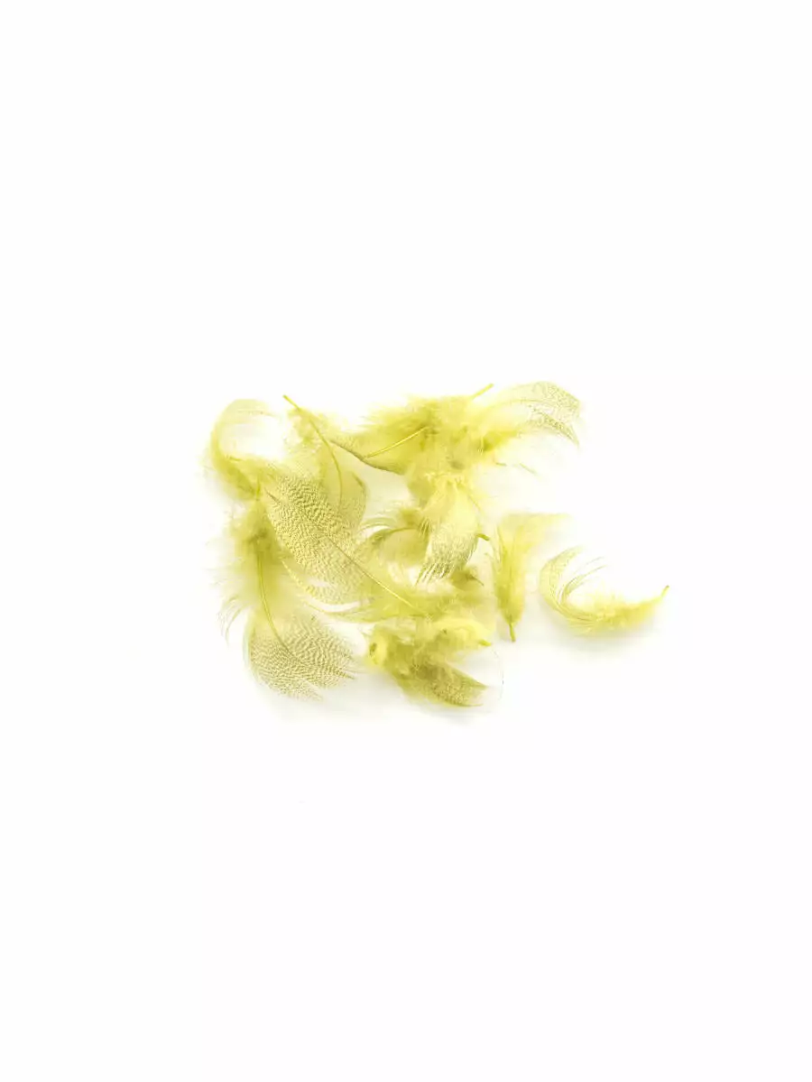 Wapsi Mallard Flank Feathers 7 Wapsi Mallard Flank Feathers – Bild 5