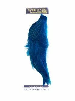 Whiting 1/2 Rooster Cape -Fliegenruten Elegant magasin whiting half cape kingfisher blue